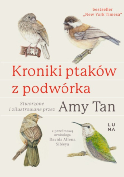 Kroniki ptaków z podwórka