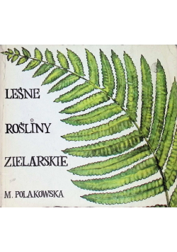 Leśne rośliny zielarskie
