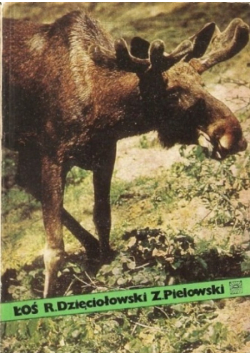 Łoś