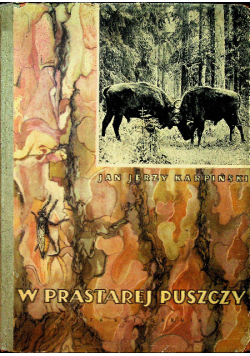 W prastarej puszczy