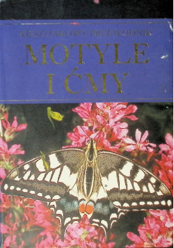 Motyle i ćmy