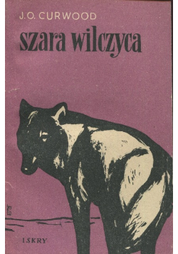Szara wilczyca