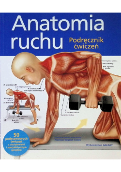 Anatomia ruchu