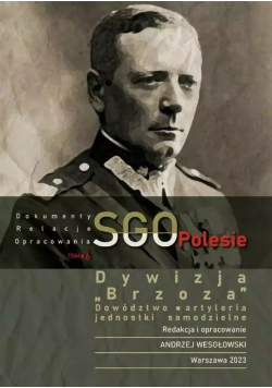 Dywizja "brzoza", Dowództwo, Artyleria. Jednostki Samodzielne