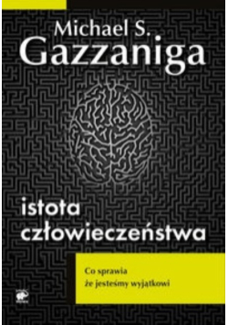 Romowie 2011 Życie na pograniczu