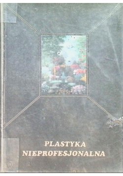 Plastyka nieprofesjonalna