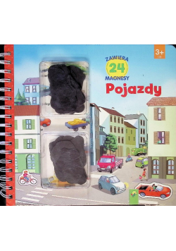 Pojazdy 3+ lat