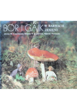 Bór i gaik w barwach jesieni