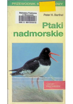 Ptaki nadmorskie