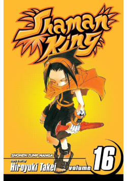Shaman King. Tom 16