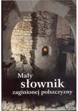 Mały słownik zaginionej polszczyzny