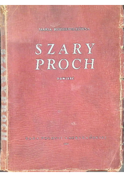 Szary proch