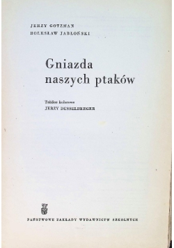 Gniazda naszych ptaków