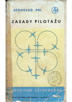 Zasady pilotażu