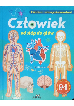 Człowiek od stóp do głów
