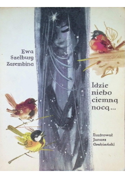 Idzie niebo ciemną nocą