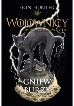 Gniew burzy