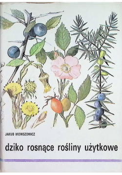 Dziko rosnące rośliny użytkowe