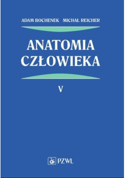 Anatomia człowieka Tom 5