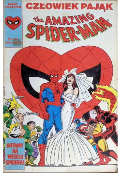 The amazing Spiderman Nr 2