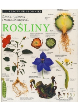 Ilustrowane słowniki. Rośliny