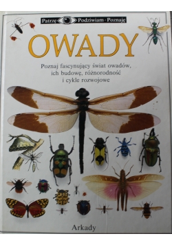 Owady