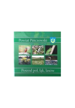 Powiat Pińczowski