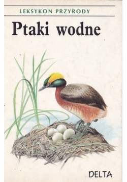 Ptaki wodne