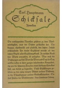 Schictsale, 1914r.